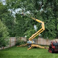 Best Emergency Tree Removal  in Fairfax Station, VA