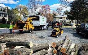 Best Pest Control for Lawns  in Fairfax Station, VA