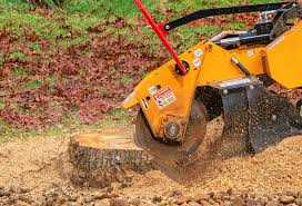 Best Grass Overseeding  in Fairfax Station, VA
