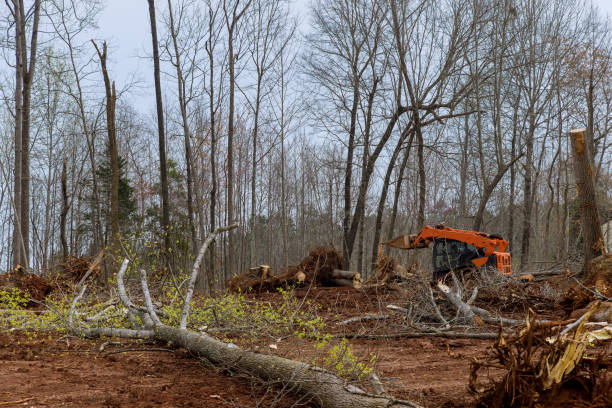 Mulching Services in Fairfax Station, VA